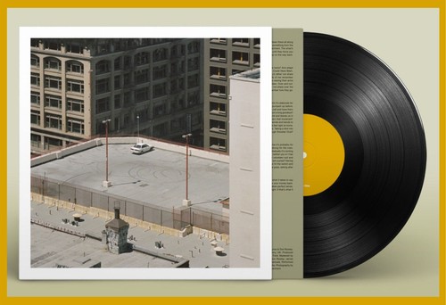 Arctic monkeys the - monkeys, vinyl