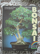 Bonsai - Gestaltung und Pflege