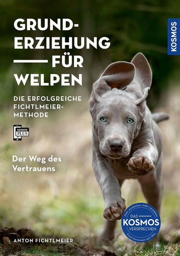 Grunderziehung für welpen - grunderziehung,