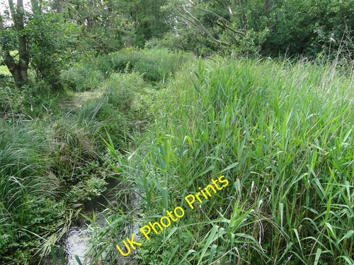 Foto 6x4 star lane watchfield - foto,