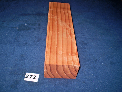 Redwood mammutbaum - redwood,