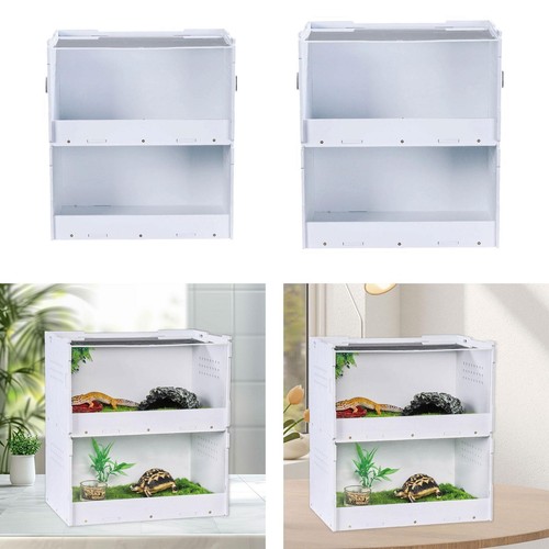 Reptilien zuchtbox terrarium - reptilien,