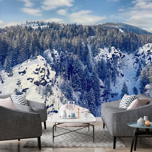 Schnee wald c6029 tapete - 3d,