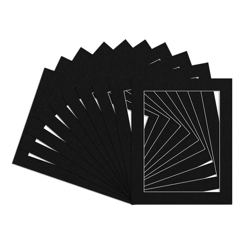 Procut 10er pack foto - 10er,