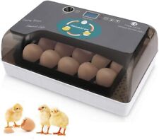 Inkubator Brutkasten