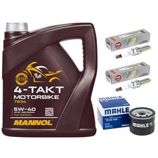 Set Öl Inspektion Ölfilter