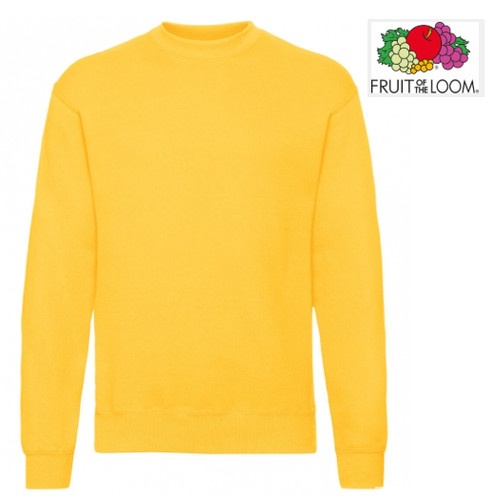 Fruit the loom - of,