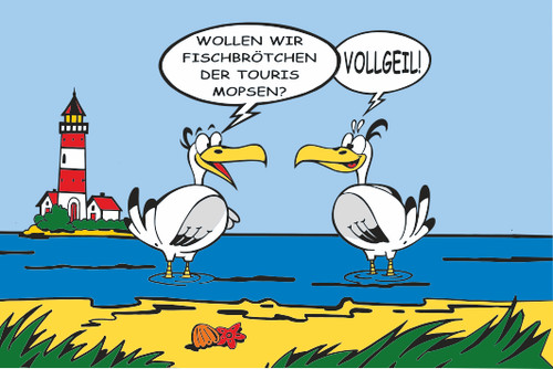 Aufkleber möwen - aufkleber,