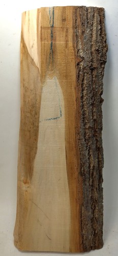 Lindenholz brett mit rinde zum - mit,