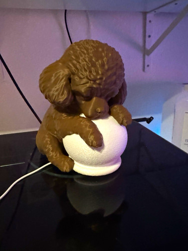 Led tischlampe pudel mit - led,