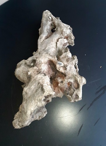 Treibholz schwemmholz - xl,