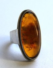 Fischland Bernstein Ring