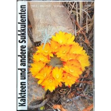 Kakteen und andere Sukkulenten