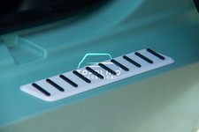 (2 Stück) Einstiegsleisten