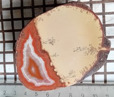 Achat plus Dendriten (!!) Waldhambach