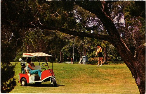 Golf sport longboat key - longboat,