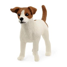 Jack russell terrier dog - russell,