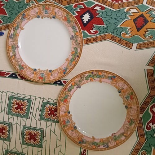Rosenthal versace les jardin - versace,