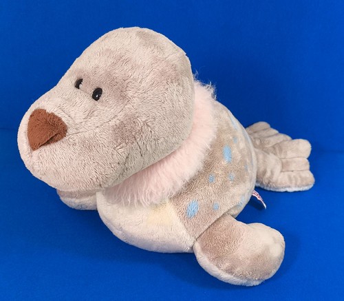 Nici seehund robbe - seehund, babyrobbe