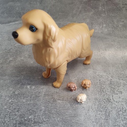 Trächtiger hund geburt welpen - trÄchtiger,
