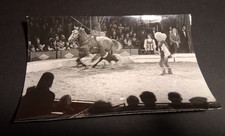 1975 DDR presse foto12x18 ZIRKUS BUSCH Reitertruppe KERSTEN circus cirque photo