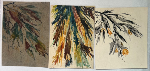 Friedrich vogel aquarelle - vogel,