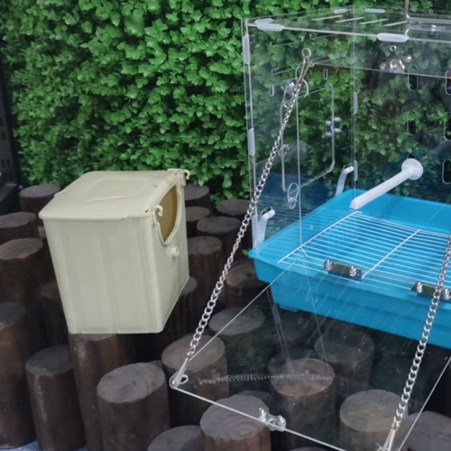 Vogelzuchtbox mit klappdeckel - vogelzuchtbox,