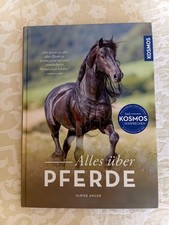 Alles über Pferde | Reiten