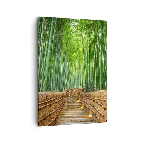 Wandbilder 50x70cm