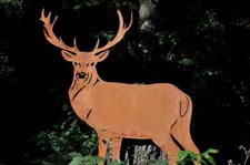 Edelrost Hirsch stehend