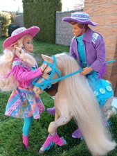 Barbie❣️Western-FUN-Set❤