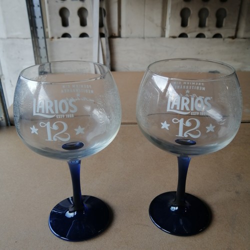 Larios gin ballonglas - gin, 2x