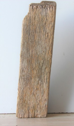 Treibholz schwemmholz - treibholz,
