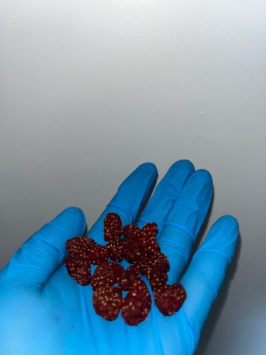 Getrocknete erdbeeren 900 - getrocknete,