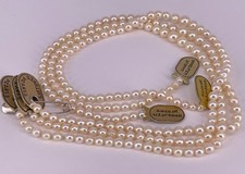 1 Strang japanische Salzwasser