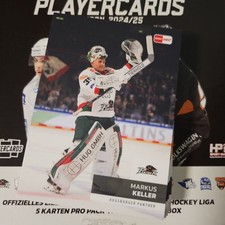 DEL Eishockey Tradingcard Team