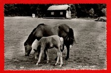 04150/126+   Postcard  NEW