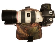 Buteo Photo Gear Foto