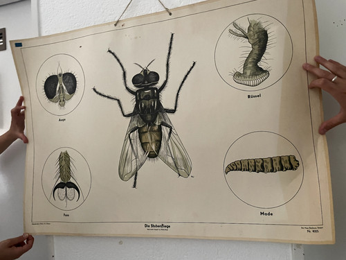 Lehrtafel poster - lehrtafel,