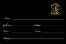 -B05- Boxenschild Springpferd