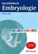 Kurzlehrbuch Embryologie von Ulfig, Norbert | Buch | Zustand sehr gut