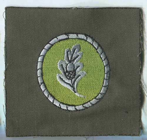 Bundeswehr führer - bundeswehr, :führer