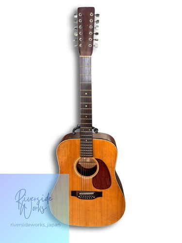 Takamine saitige - takamine, 12-saitige