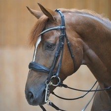 % Kavalkade Kandare Comtess -UVP €149,50 -Reitsport NuddelHof -NH