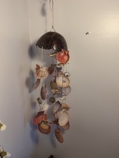 Kokosnussmuschel Muschel