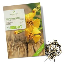 BIO Gewürztagetes Samen -