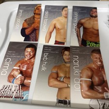 Lot of 6 Dragon Gate USA 2