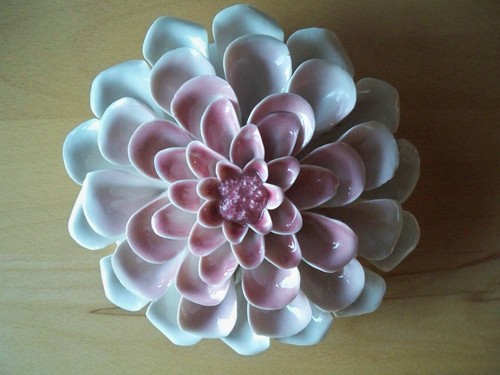 Wanddeko objekt seerose d - ,