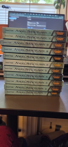 Angel sanctuary manga - angel,