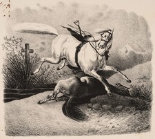 Schimmel und totes Pferd, um